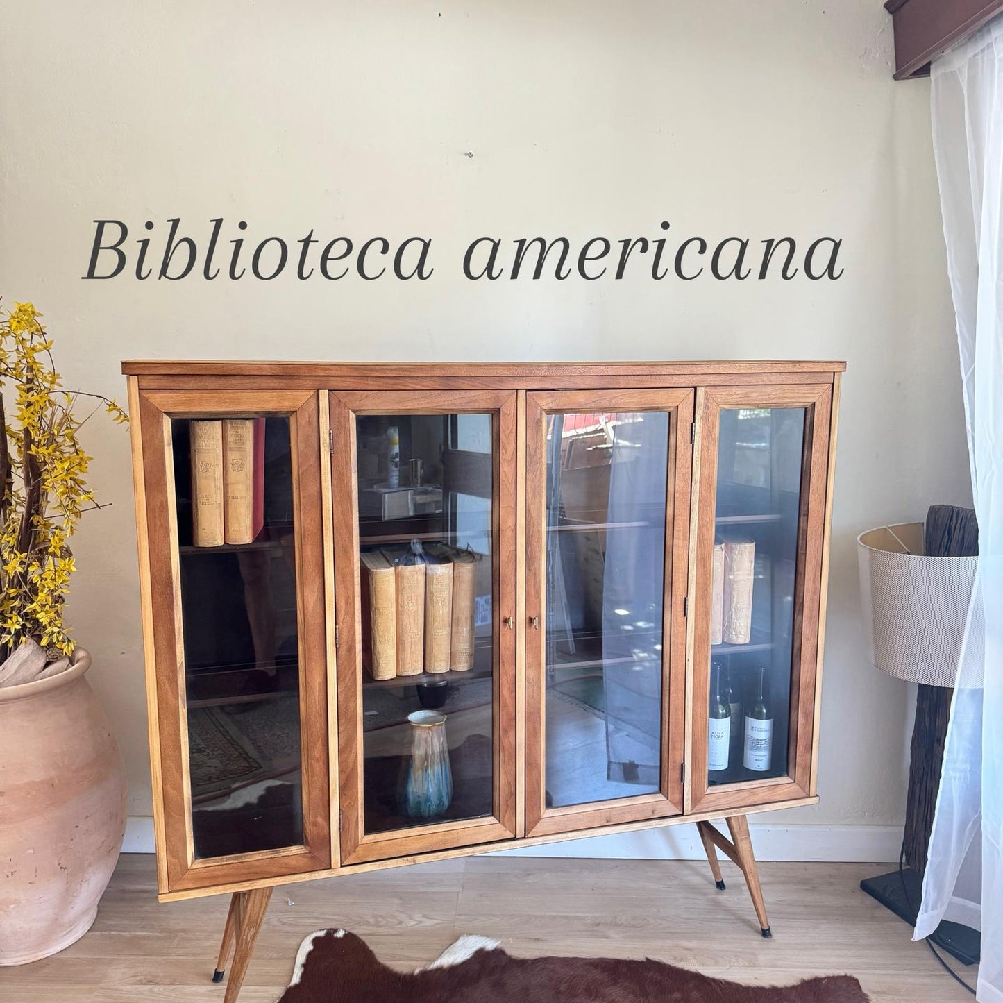 Biblioteca americana