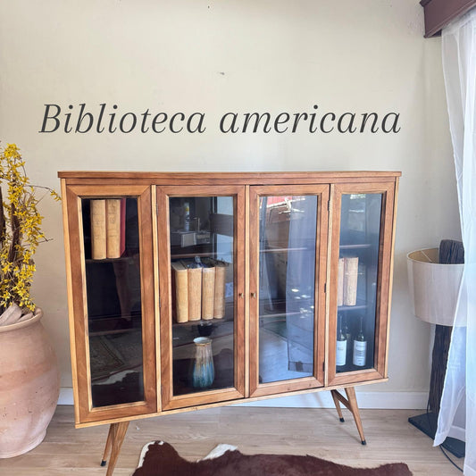 Biblioteca americana